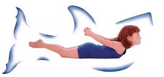 yoga-Shark