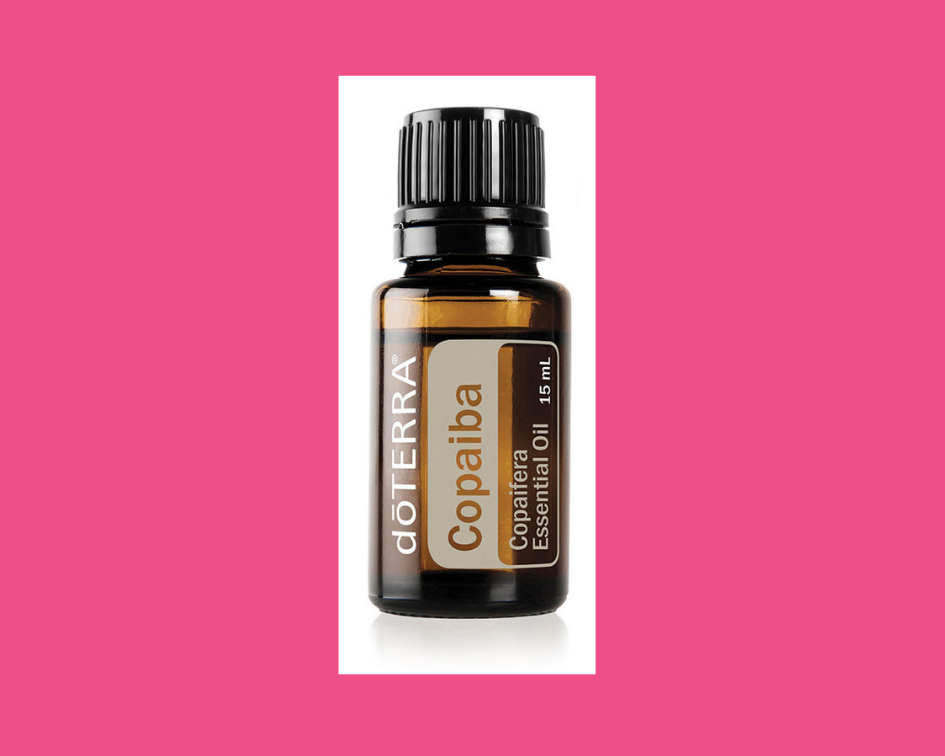 Copy of Copy of Essential Canva Tools