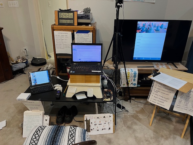 My Online Teaching Setup.