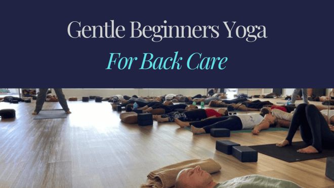 Gentle Beginners Yoga for Back Care. On the Yoga Mat, or Seated Chair Movements